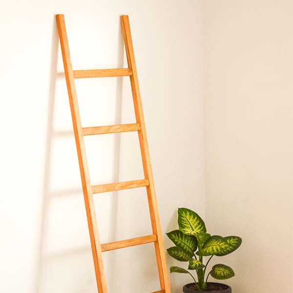 Wooden Ladder Clothes Stand